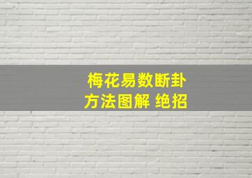 梅花易数断卦方法图解 绝招